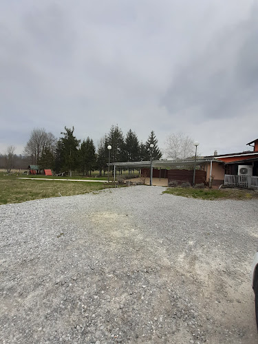 Comentarii opinii despre Ob kaminu