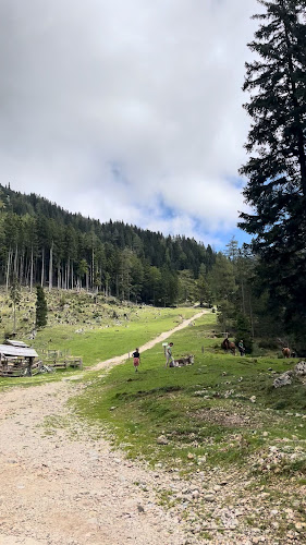 Koča na planini Dolga njiva - Tržič