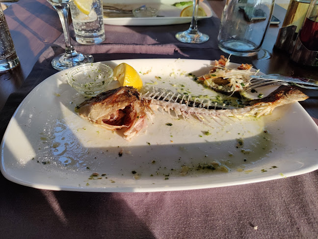 Comentarii opinii despre No name