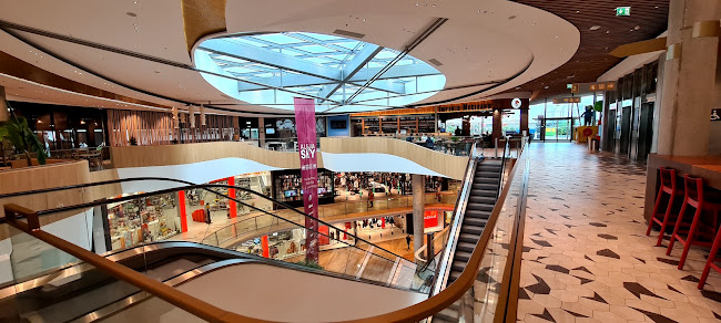 Zvezda - Gastronomija in gostinstvo