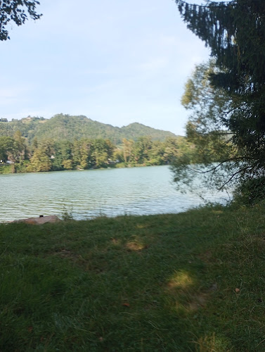 TDR - Metalurgija, Tovarniška cesta 43, 2342 Ruše