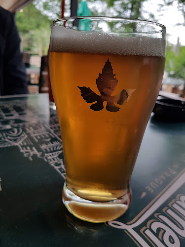 Bazen Bar & BBQ - Kranj