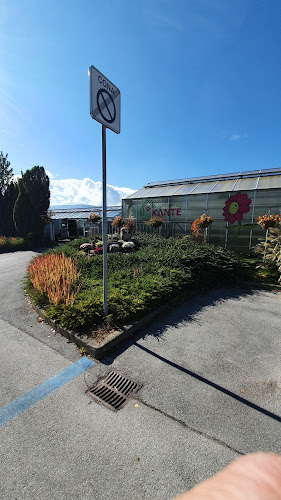 Vrbanska cesta 95, 2351 Kamnica