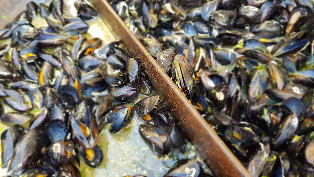 Pogačarjev trg 1, 1000 Ljubljana