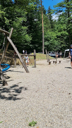 Brkati som - Gastronomija in gostinstvo