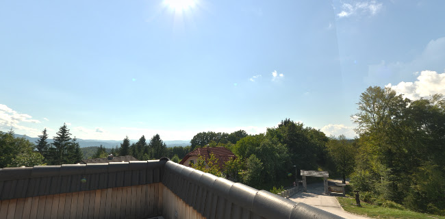 Comentarii opinii despre Gostilnica Orle