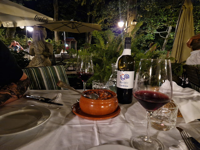 Comentarii opinii despre Gostilna Čad