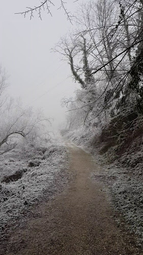 Kavarna in Gostilna Pri Noni