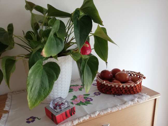 Comentarii opinii despre Bar Sandra