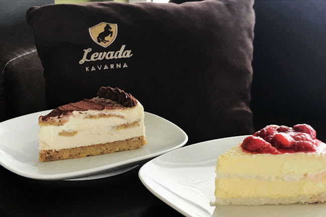 Comentarii opinii despre KAVARNA LEVADA
