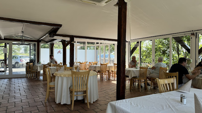 Opinii despre Ob kaminu în Postojna - Gastronomija in gostinstvo