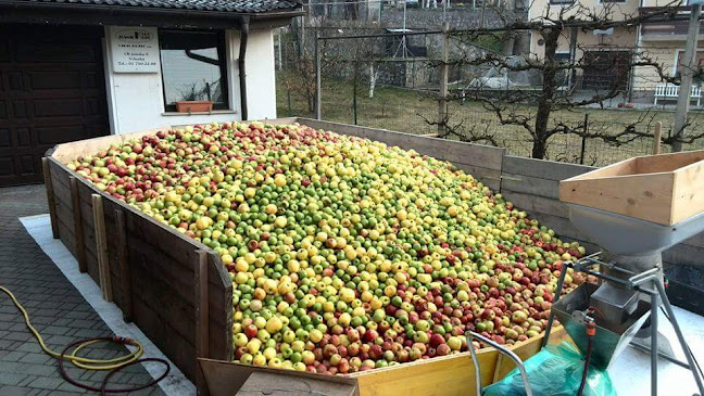 Ob potoku 8, 1360 Vrhnika