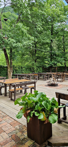 Comentarii opinii despre Kamp Lazar