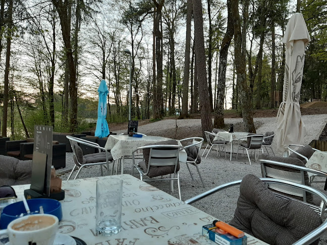 Comentarii opinii despre Brkati som