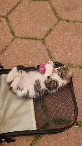 Gostilnica Bambi - Gastronomija in gostinstvo