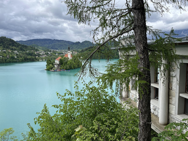 Café Belvedere - Gastronomija in gostinstvo
