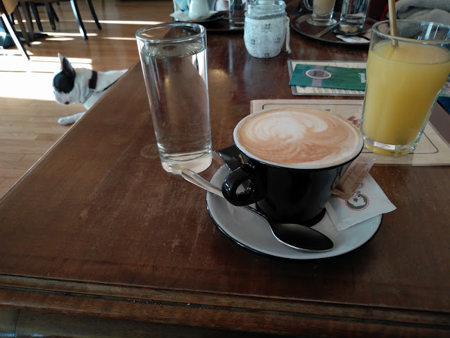 Kavarna Vanilla - Gastronomija in gostinstvo