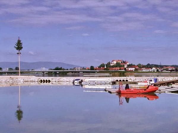 Ptujsko morje - Ptuj