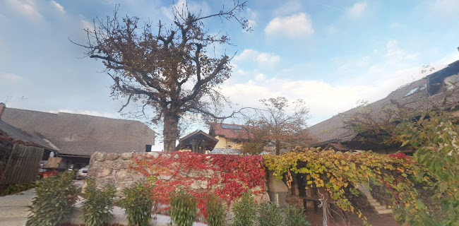 Kunstelj 1873, Gostilna in prenočišča, d.o.o.