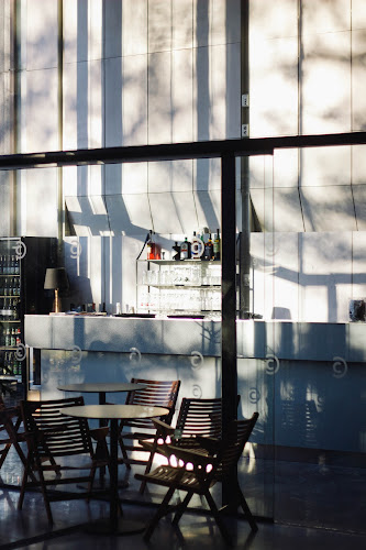 Comentarii opinii despre Idealist