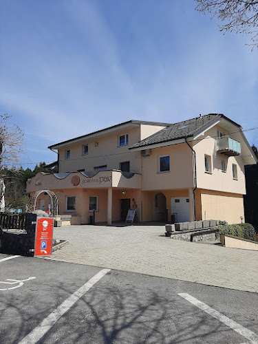 Gostilna Pav - Rakek