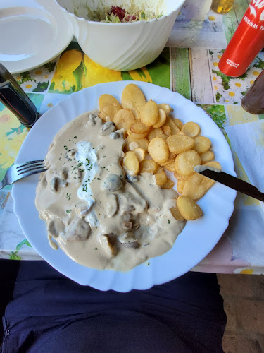 Comentarii opinii despre International Piknik Center "Pri Jurju"