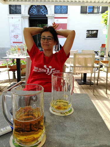 Muzejski trg 1, 6000 Koper