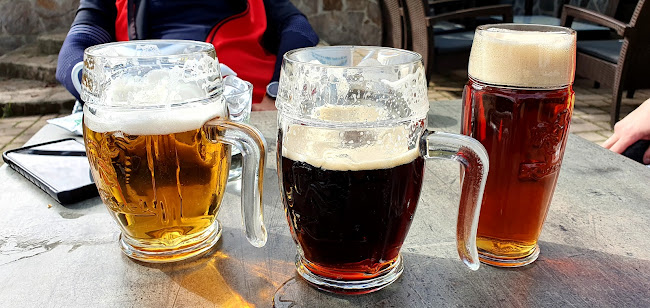 Comentarii opinii despre Grešni Kozel