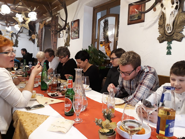 Comentarii opinii despre Gostilna Pri planinskem orlu