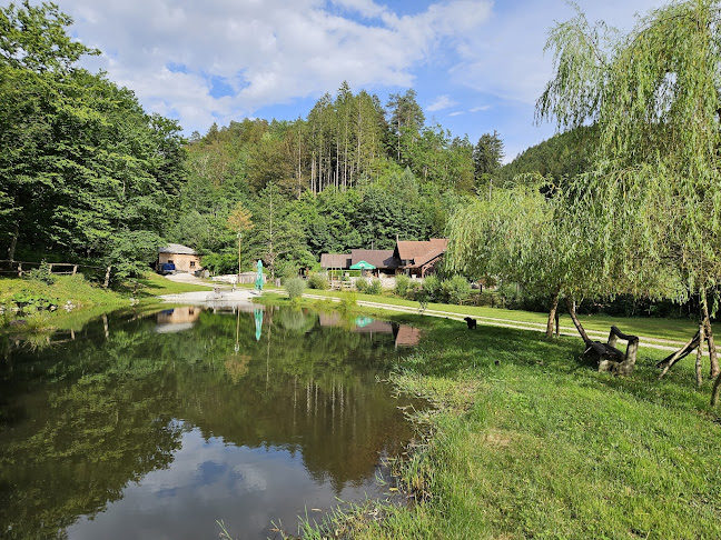 Opinii despre Gostilna "Pustov Mlin" Povše Viktor s.p. în Šmartno pri Litiji - Gastronomija in gostinstvo
