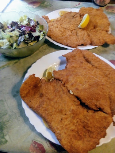 Comentarii opinii despre International Piknik Center "Pri Jurju"