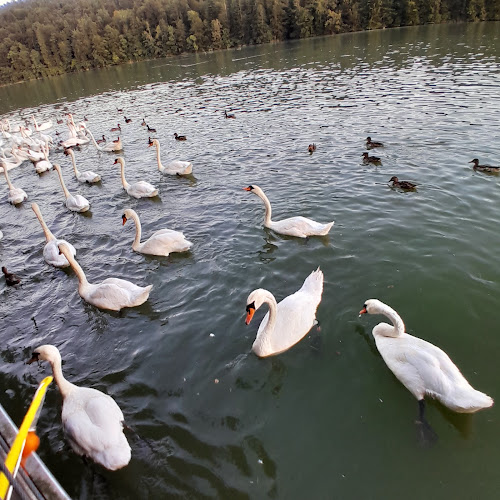 Zbilje 30, 1215 Medvode