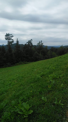 Opinii despre Hiša Jamnik în Ljubljana - Gastronomija in gostinstvo