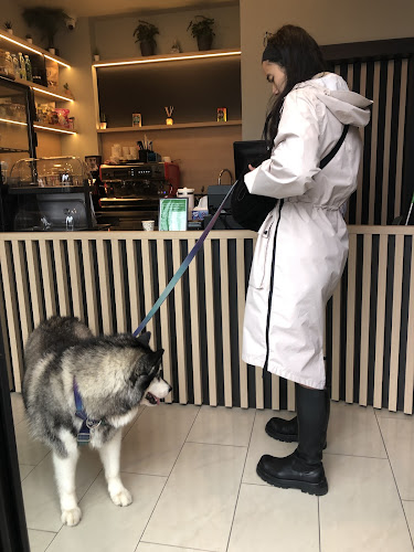 Comentarii opinii despre Kofi Brejk - best coffee & matcha in Ljubljana