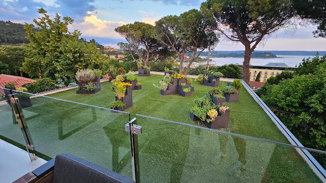 Comentarii opinii despre COB