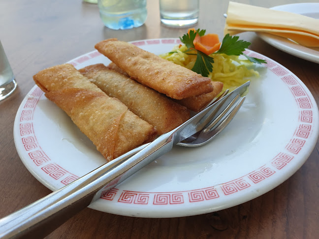 Kitajska restavracija Zlata ribica, Zhang d.o.o.,