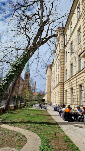 Comentarii opinii despre Kavarna SEM