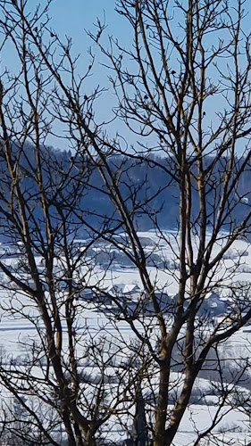 Opinii despre Pr' Mihcu - pizzerija in okrepčevalnica în Grosuplje - Gastronomija in gostinstvo