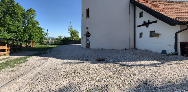 Cafe galerija Pungert - Gastronomija in gostinstvo