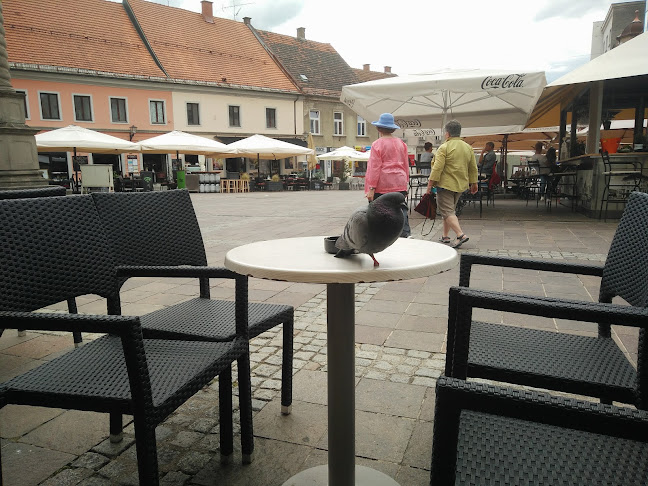 Opinii despre Kavarna Astoria în Maribor - Gastronomija in gostinstvo