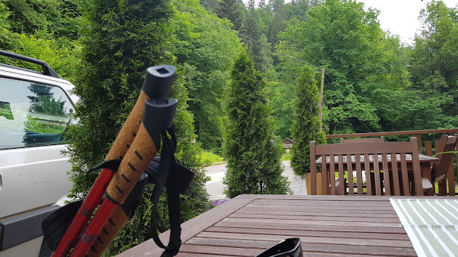 Okrepčevalnica - pizzerija "Erlah" Dušan Starič s.p. - Gastronomija in gostinstvo