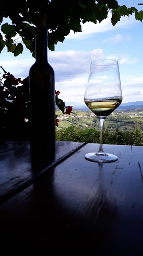 Comentarii opinii despre Gostišče pri Marjotu