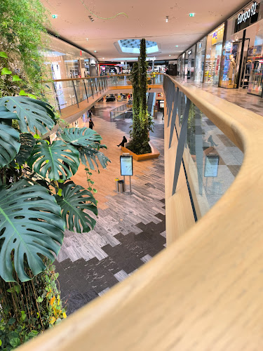 Comentarii opinii despre ALEJA SKY