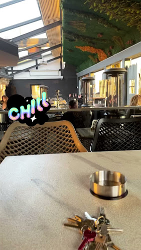 Comentarii opinii despre TROJA LOUNGE BAR & CLUB