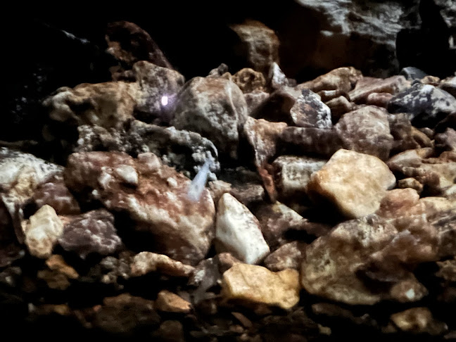 Opinii despre Pod Skalco - Snack Bar în Postojna - Gastronomija in gostinstvo