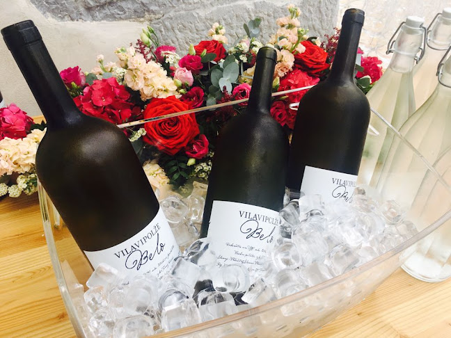 Grad Vipolže, Vipolže 29, 5212 Dobrovo v Brdih