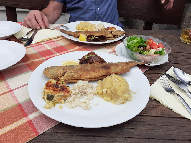 Opinii despre Gostilna "Pustov Mlin" Povše Viktor s.p. în Šmartno pri Litiji - Gastronomija in gostinstvo