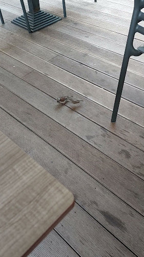 Opinii despre Pizzeria Fontana Krško în Krško - Gastronomija in gostinstvo