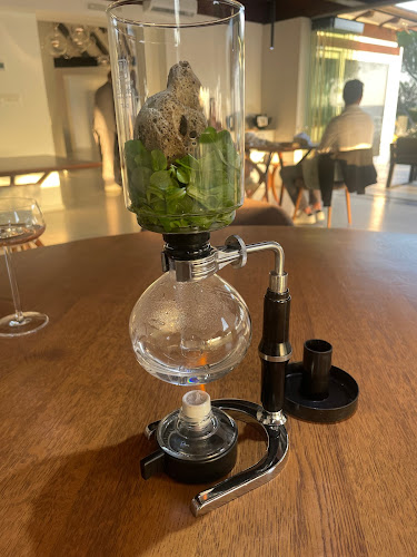 Comentarii opinii despre COB