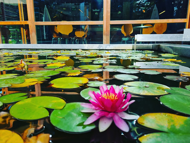 Zdraviliški trg 7, 8350 Dolenjske Toplice